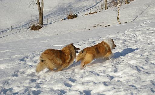 Fotos f. Homepage Galerie 041